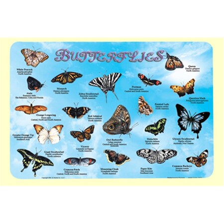 Butterflies Placemat 4PK